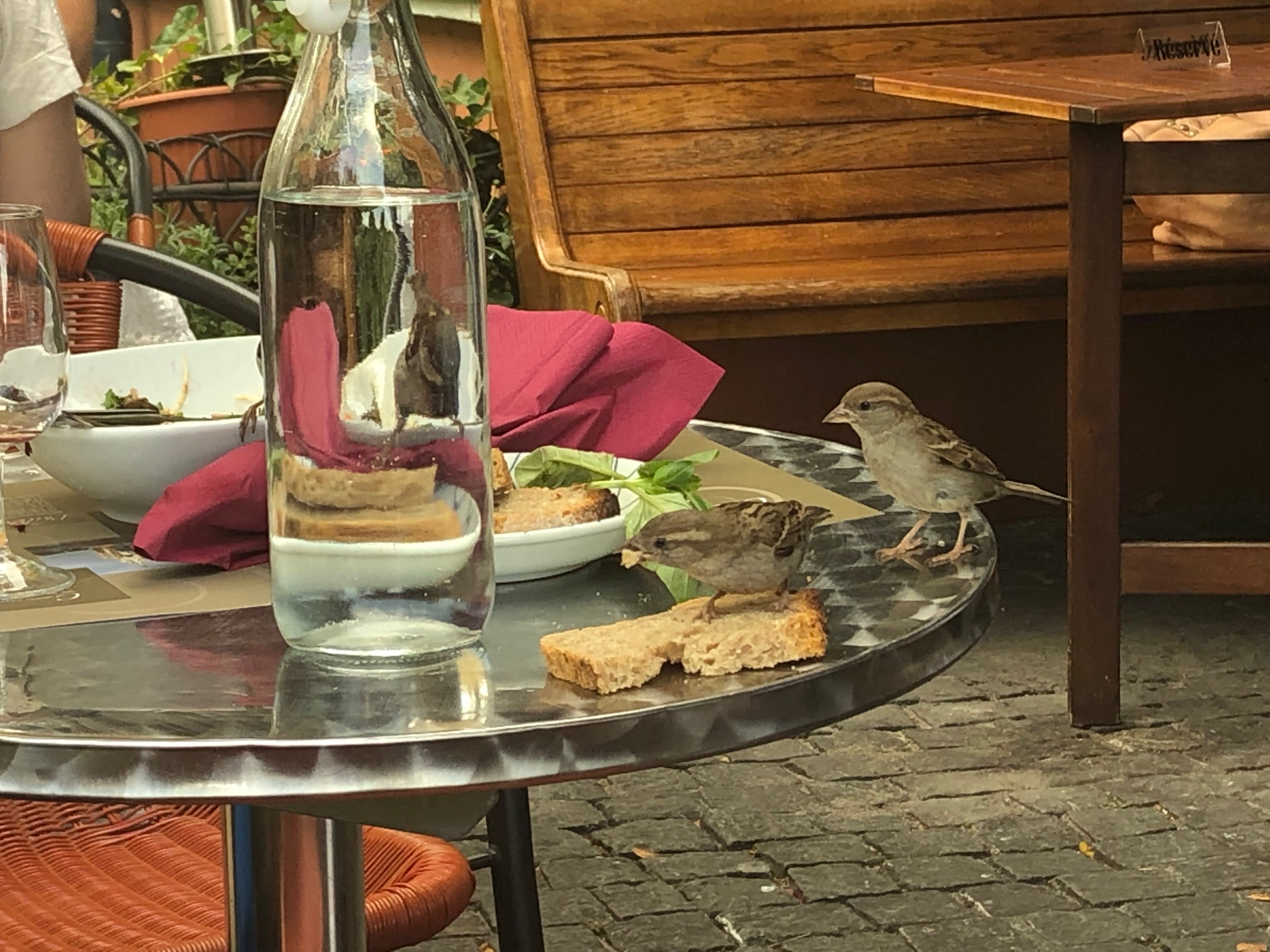 Cottage Cafe Geneve Quand Est Ce Qu On Mange